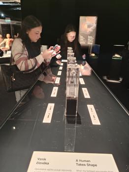 Výstava Body Worlds